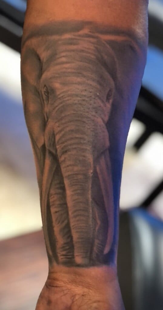 Τατουάζ ζώου με πορτρέτο ελέφαντα από τον καλλιτέχνη DB. Wyte στο Iron Palm Tattoos & Body Piercing στην Ατλάντα, GA. Καλέστε στο 404-973-7828 ή περάστε για δωρεάν συμβουλευτική. Τα Walk-IN γίνονται δεκτά.