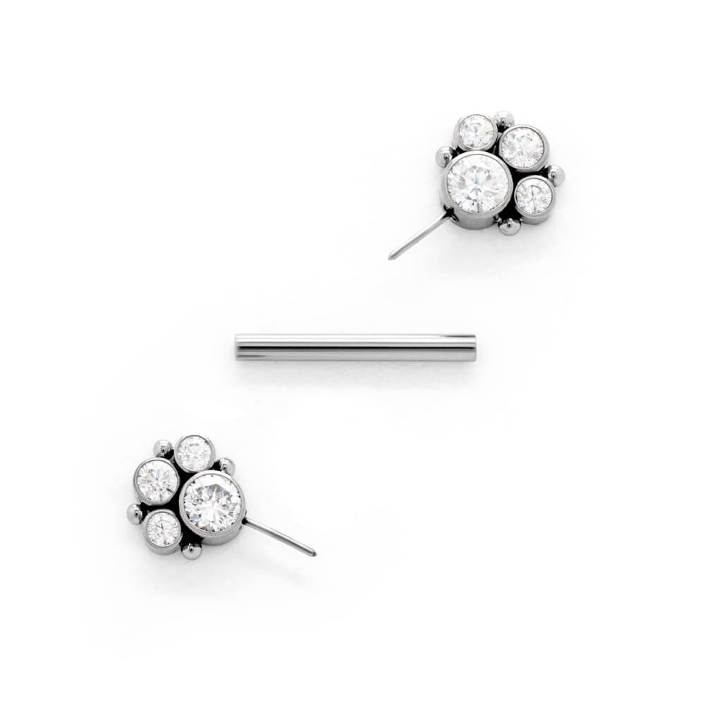 Tilum 14g 9/16" Jeweled Paw Barbell Titanium Threadless