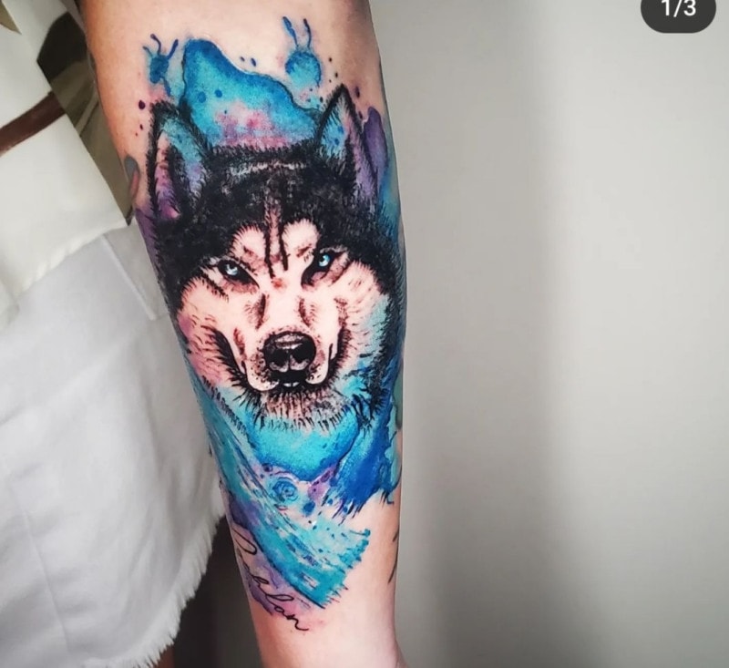 Wolf Animal & Blue Water Color Tattoo by Ari Elise, Iron Palm Tattoos Атлантадагы конок тату сүрөтчүсү. Ари бизге Орландо Флоридадагы Hart & Huntington Tattoo компаниясынан келет. Ал 2023-жылдын августунда ээлеп коюуга болот. 404-973-7828 номерине чалыңыз же акысыз кеңеш алуу үчүн токтоңуз. Жөө кирүүлөр кабыл алынат.