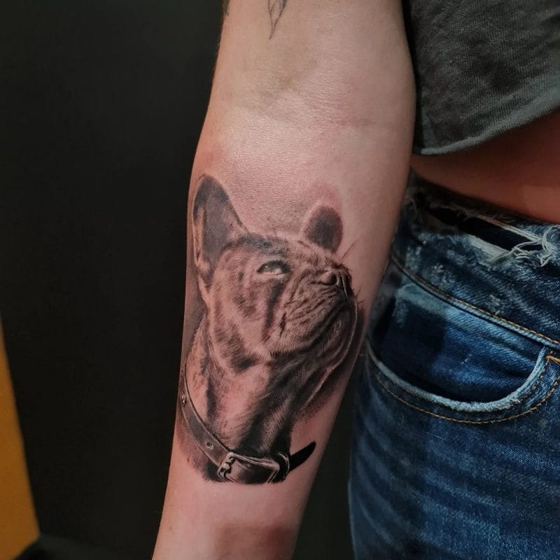 Tatuatge de retrat de mascota de bulldog francès per Thian. Sovint se li demana a Thian que faci retrats de mascotes per als seus propietaris connectats. Truqueu al 404-973-7828 o passeu per una consulta gratuïta.