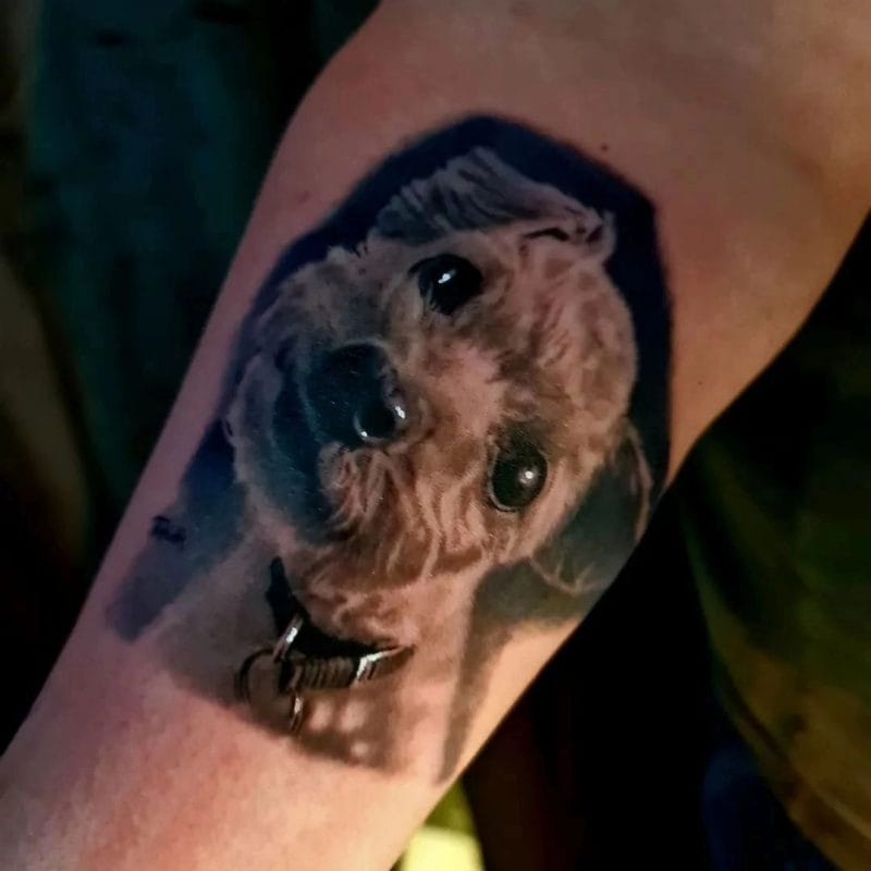 Tatuatge commemoratiu del realisme fotogràfic del cadell de Thian. Thian va crear aquest retrat com a tatuatge commemoratiu per a un client que acaba de perdre el seu cadell. Ens podem relacionar. Els vincles entre les mascotes i els seus propietaris poden ser molt forts. Truqueu al 404-973-7828 o passeu per una consulta gratuïta. Les entrades són benvingudes.