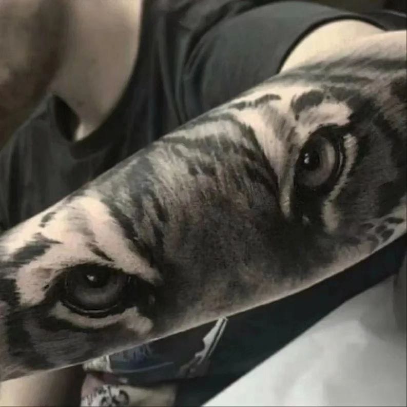 Tatuatge d'animals de tigre negre i gris de Thian. Els tatuatges de tigre són mànigues populars de realisme. Entre els tatuatges, aquests tenen alguns dels simbolismes més reconeguts com el poder, la independència i la ferocitat. Truqueu al 404-973-7828 o passeu per una consulta gratuïta.