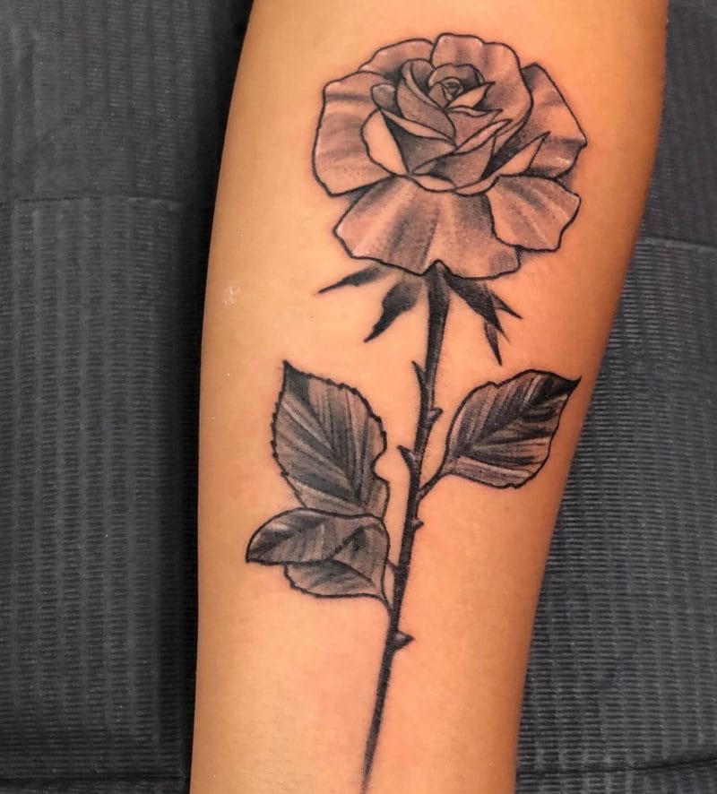 ब्लॅक अँड ग्रे स्टिपल्ड रोझ बाय डीबी वायट. स्टिपल्ड रोझ टॅटू मॅन्युअली 'डॉट्स' वापरून शेडिंग इफेक्ट्स तयार करून तयार केला जातो.